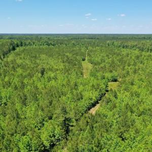 Photo #5 of SOLD property in Off Minor Run Road, Blounts Creek, NC 48.0 acres