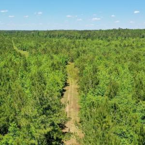Photo #6 of SOLD property in Off Minor Run Road, Blounts Creek, NC 48.0 acres