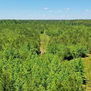 Photo #7 of SOLD property in Off Minor Run Road, Blounts Creek, NC 48.0 acres