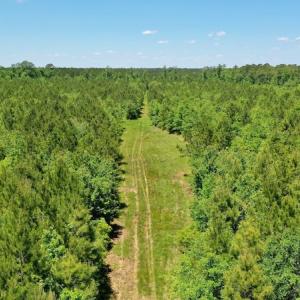 Photo #8 of SOLD property in Off Minor Run Road, Blounts Creek, NC 48.0 acres