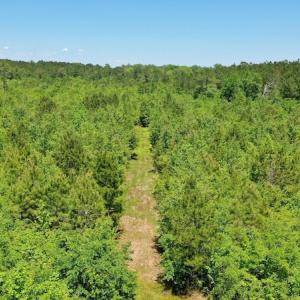 Photo #9 of SOLD property in Off Minor Run Road, Blounts Creek, NC 48.0 acres