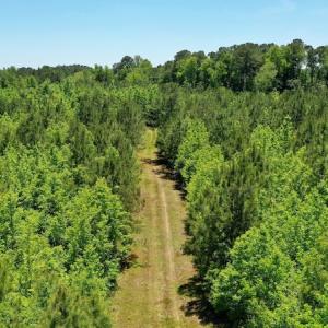 Photo #10 of SOLD property in Off Minor Run Road, Blounts Creek, NC 48.0 acres