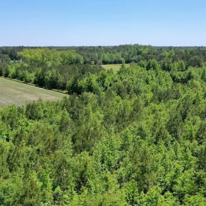 Photo #11 of SOLD property in Off Minor Run Road, Blounts Creek, NC 48.0 acres