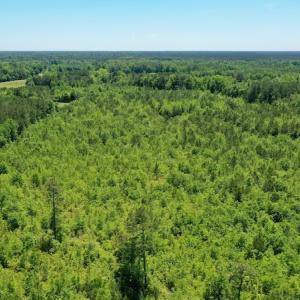 Photo #12 of SOLD property in Off Minor Run Road, Blounts Creek, NC 48.0 acres