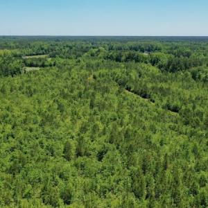 Photo #13 of SOLD property in Off Minor Run Road, Blounts Creek, NC 48.0 acres