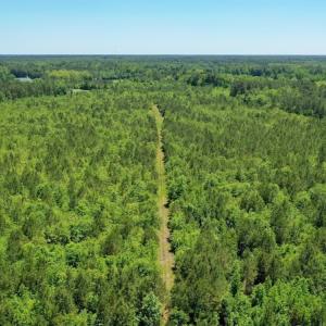 Photo #14 of SOLD property in Off Minor Run Road, Blounts Creek, NC 48.0 acres