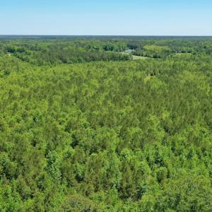 Photo #15 of SOLD property in Off Minor Run Road, Blounts Creek, NC 48.0 acres
