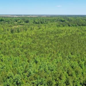 Photo #16 of SOLD property in Off Minor Run Road, Blounts Creek, NC 48.0 acres
