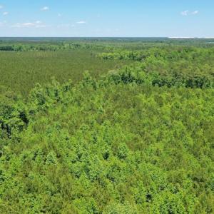 Photo #17 of SOLD property in Off Minor Run Road, Blounts Creek, NC 48.0 acres