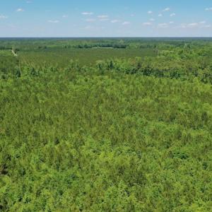 Photo #18 of SOLD property in Off Minor Run Road, Blounts Creek, NC 48.0 acres