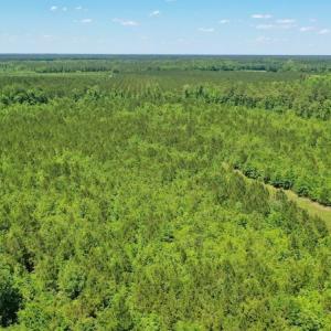 Photo #19 of SOLD property in Off Minor Run Road, Blounts Creek, NC 48.0 acres