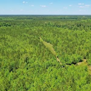 Photo #20 of SOLD property in Off Minor Run Road, Blounts Creek, NC 48.0 acres