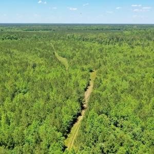 Photo #21 of SOLD property in Off Minor Run Road, Blounts Creek, NC 48.0 acres