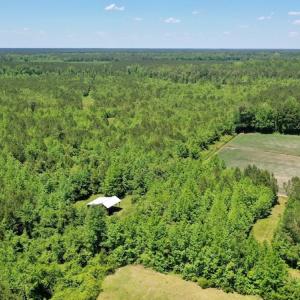 Photo #23 of SOLD property in Off Minor Run Road, Blounts Creek, NC 48.0 acres