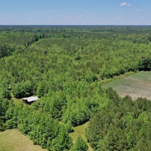 Photo #24 of SOLD property in Off Minor Run Road, Blounts Creek, NC 48.0 acres