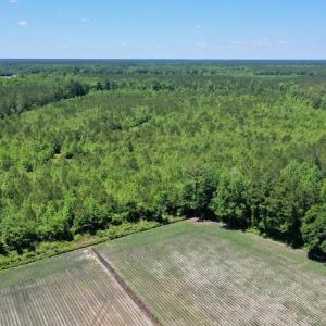 Photo #25 of SOLD property in Off Minor Run Road, Blounts Creek, NC 48.0 acres