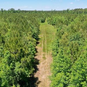 Photo #27 of SOLD property in Off Minor Run Road, Blounts Creek, NC 48.0 acres