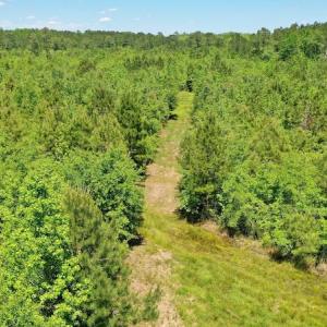Photo #28 of SOLD property in Off Minor Run Road, Blounts Creek, NC 48.0 acres