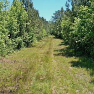 Photo #29 of SOLD property in Off Minor Run Road, Blounts Creek, NC 48.0 acres
