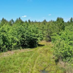 Photo #30 of SOLD property in Off Minor Run Road, Blounts Creek, NC 48.0 acres