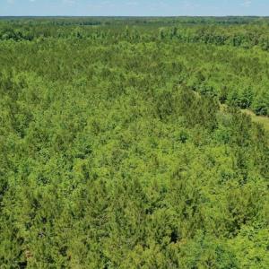 Photo #32 of SOLD property in Off Minor Run Road, Blounts Creek, NC 48.0 acres