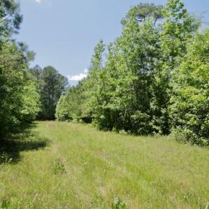 Photo #33 of SOLD property in Off Minor Run Road, Blounts Creek, NC 48.0 acres