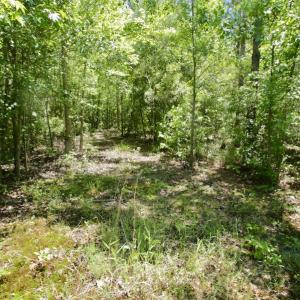 Photo #34 of SOLD property in Off Minor Run Road, Blounts Creek, NC 48.0 acres