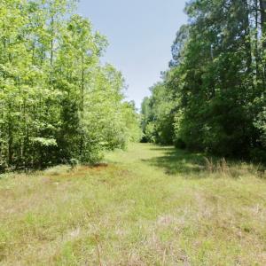 Photo #35 of SOLD property in Off Minor Run Road, Blounts Creek, NC 48.0 acres