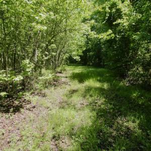 Photo #36 of SOLD property in Off Minor Run Road, Blounts Creek, NC 48.0 acres