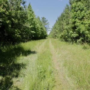 Photo #37 of SOLD property in Off Minor Run Road, Blounts Creek, NC 48.0 acres