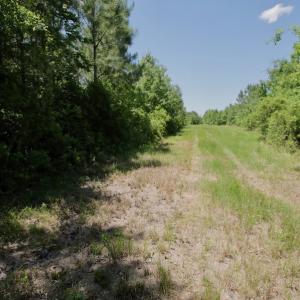 Photo #38 of SOLD property in Off Minor Run Road, Blounts Creek, NC 48.0 acres