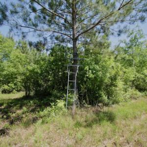Photo #40 of SOLD property in Off Minor Run Road, Blounts Creek, NC 48.0 acres