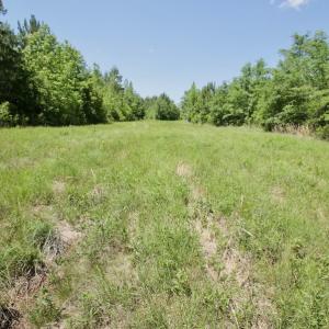 Photo #41 of SOLD property in Off Minor Run Road, Blounts Creek, NC 48.0 acres