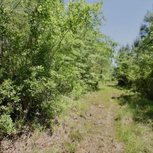 Photo #42 of SOLD property in Off Minor Run Road, Blounts Creek, NC 48.0 acres