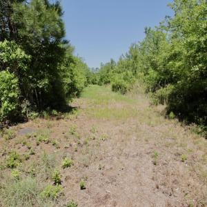 Photo #43 of SOLD property in Off Minor Run Road, Blounts Creek, NC 48.0 acres