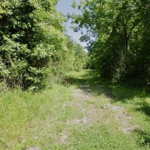 Photo #44 of SOLD property in Off Minor Run Road, Blounts Creek, NC 48.0 acres