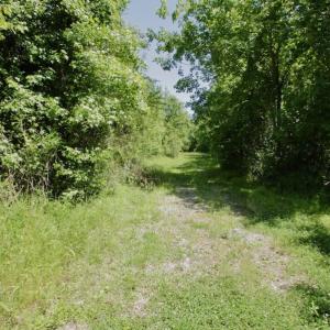 Photo #44 of SOLD property in Off Minor Run Road, Blounts Creek, NC 48.0 acres