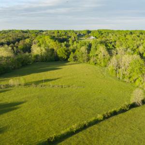 Photo #10 of SOLD property in Off Watoga Road, Dillwyn, VA 29.4 acres