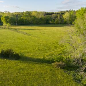 Photo #11 of SOLD property in Off Watoga Road, Dillwyn, VA 29.4 acres