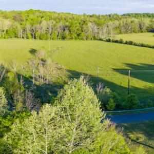 Photo #13 of SOLD property in Off Watoga Road, Dillwyn, VA 29.4 acres