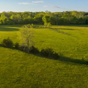Photo #15 of SOLD property in Off Watoga Road, Dillwyn, VA 29.4 acres