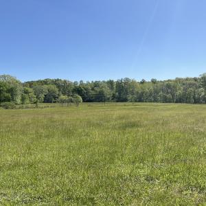Photo #16 of SOLD property in Off Watoga Road, Dillwyn, VA 29.4 acres