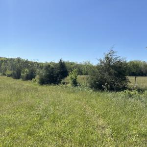 Photo #17 of SOLD property in Off Watoga Road, Dillwyn, VA 29.4 acres