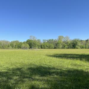 Photo #18 of SOLD property in Off Watoga Road, Dillwyn, VA 29.4 acres