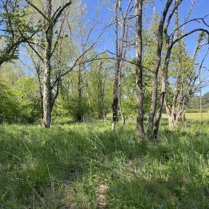 Photo #21 of SOLD property in Off Watoga Road, Dillwyn, VA 29.4 acres