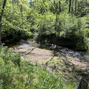 Photo #23 of SOLD property in Off Watoga Road, Dillwyn, VA 29.4 acres