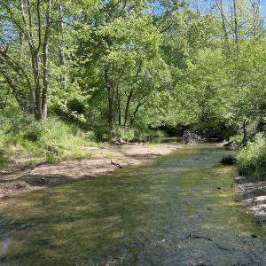 Photo #24 of SOLD property in Off Watoga Road, Dillwyn, VA 29.4 acres