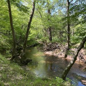 Photo #29 of SOLD property in Off Watoga Road, Dillwyn, VA 29.4 acres