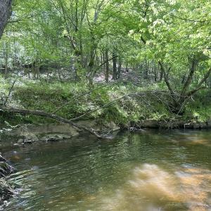 Photo #30 of SOLD property in Off Watoga Road, Dillwyn, VA 29.4 acres