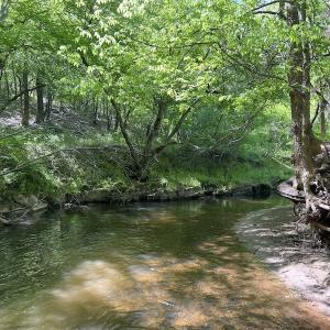 Photo #31 of SOLD property in Off Watoga Road, Dillwyn, VA 29.4 acres